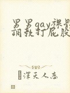 男男gay裸体调教打屁股网站封面
