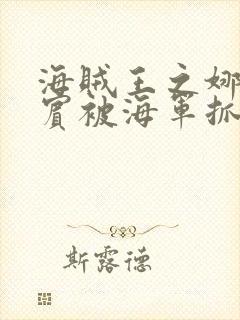 海贼王之娜美罗宾被海军抓住