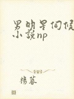 男明星伺候富婆小说np