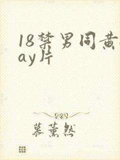 18禁男同黄gay片封面