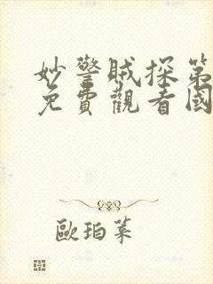 妙警贼探第一季免费观看国语