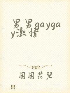 男男gaygay激情封面