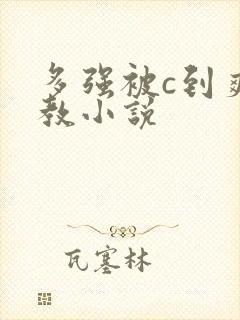 多强被c到爽调教小说