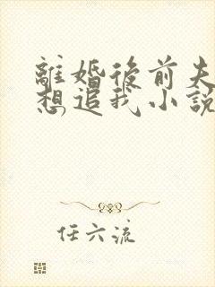 离婚后前夫总是想追我小说在线阅读