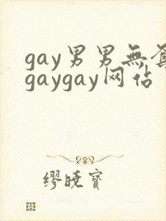 gay男男无套gaygay网站封面