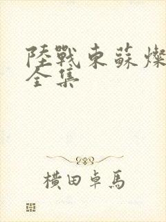 陆战东苏灿免费全集