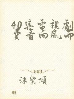 40集电视剧免费看向风而行封面