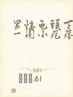 男性龟头下面有一圈小疙瘩封面