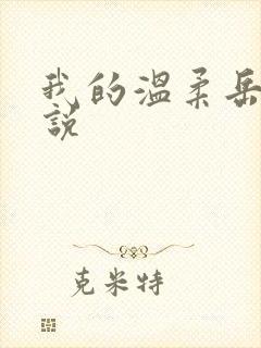 我的温柔岳母小说