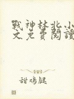 战神林北小说全文免费阅读封面