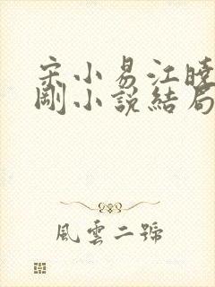 宋小易江晓萍吴刚小说结局