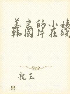 善良的小姨电影韩国片在线观看