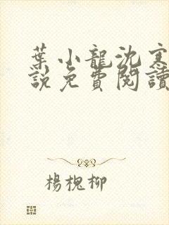 叶小龙沈寒溪小说免费阅读全文无弹窗