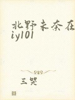 北野未奈在线diy101