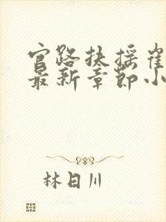 官路扶摇崔向东最新章节小说