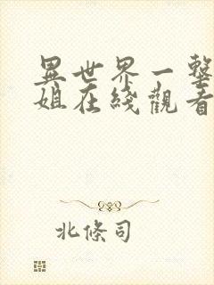 异世界一击无双姐在线观看动漫封面