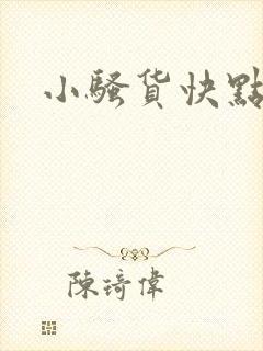 小骚货快点小说