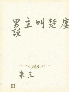 男主叫楚尘的小说