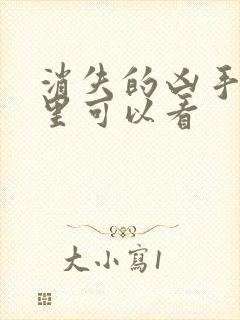 消失的凶手在哪里可以看