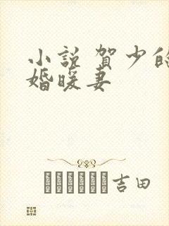 小说 贺少的闪婚暖妻封面