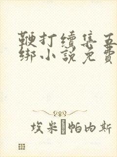 鞭打续集五花大绑小说免费阅读封面