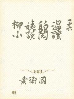 柳姨的温柔无心小说阅读