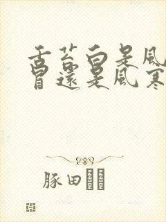 舌苔白是风热感冒还是风寒感冒