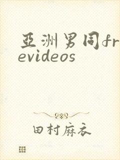 亚洲男同freevideos