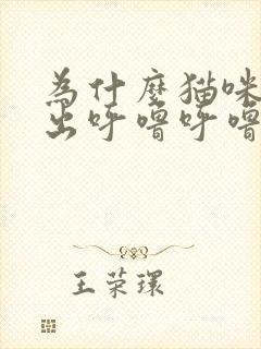 为什么猫咪会发出呼噜呼噜的声音