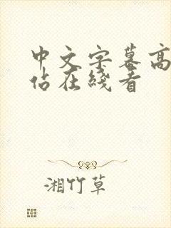 中文字幕高清网站在线看