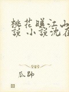桃花映江山 小说 小说沈在野