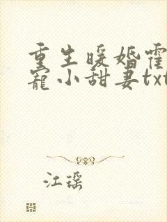 重生暖婚霍总狠宠小甜妻txt