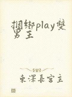 捆绑play双男主封面