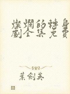 灿烂的转身电视剧全集免费