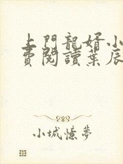 上门龙婿小说免费阅读叶辰封面