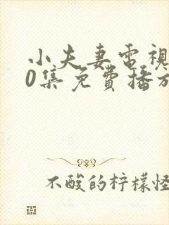 小夫妻电视剧40集免费播放