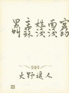 男主姓南宫女主叫苏浅浅的小说