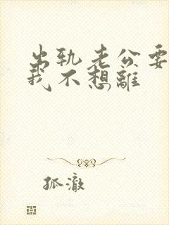 出轨老公要离婚我不想离封面