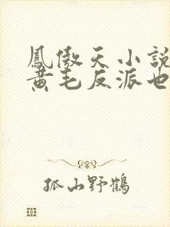 凤傲天小说里的黄毛反派也想幸福在线阅读封面