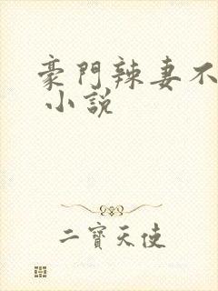 豪门辣妻不好惹 小说