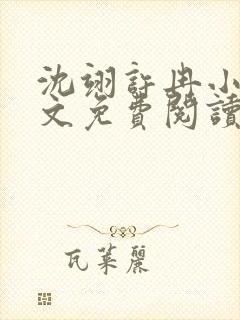 沈翊许冉小说全文免费阅读