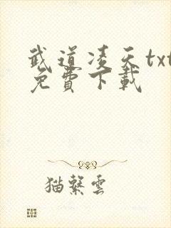 武道凌天txt免费下载