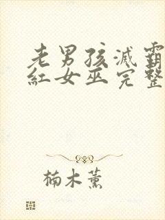 老男孩灭霸和绯红女巫完整版播放