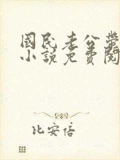 国民老公带回家小说免费阅读