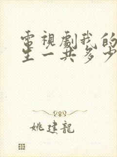 电视剧我的后半生一共多少集封面