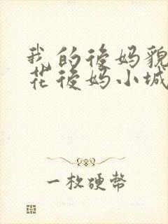 我的后妈貌美如花后妈小城何生李健