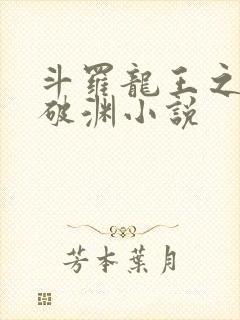 斗罗龙王之九龙破渊小说封面