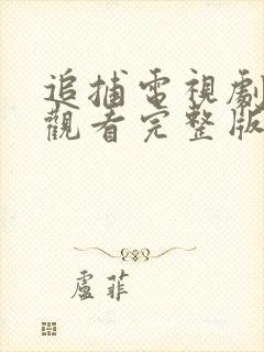 追捕电视剧在线观看完整版免费