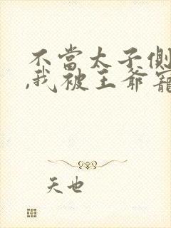 不当太子侧妃后,我被王爷宠成宝小说封面