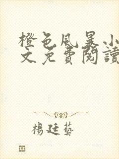 橙色风暴小说全文免费阅读无弹窗封面